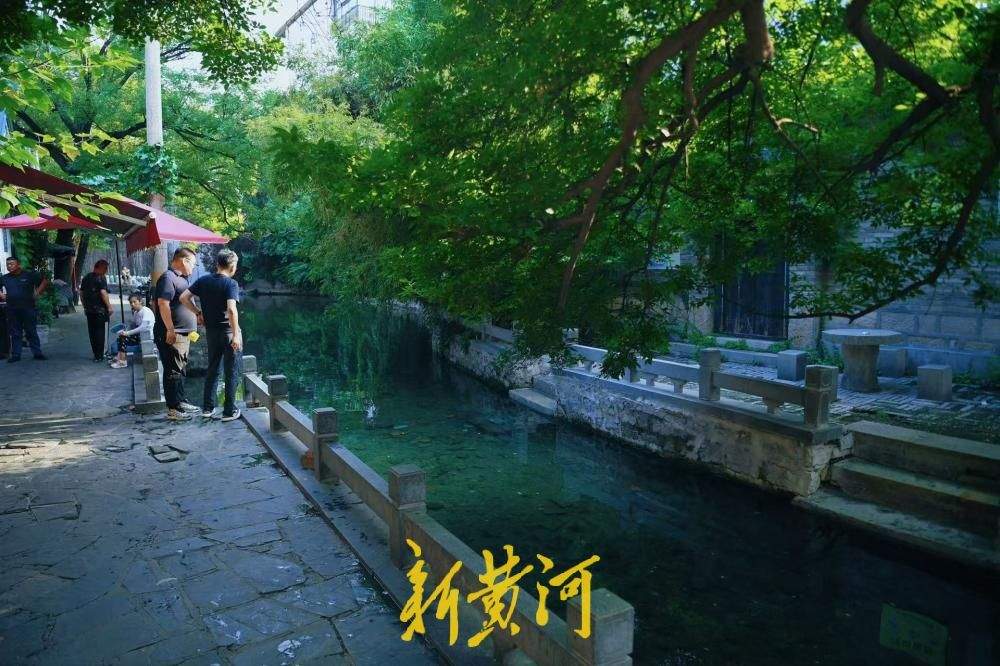 绿树清泉藏闹市 于家桥尽显老济南枕河人居烟火