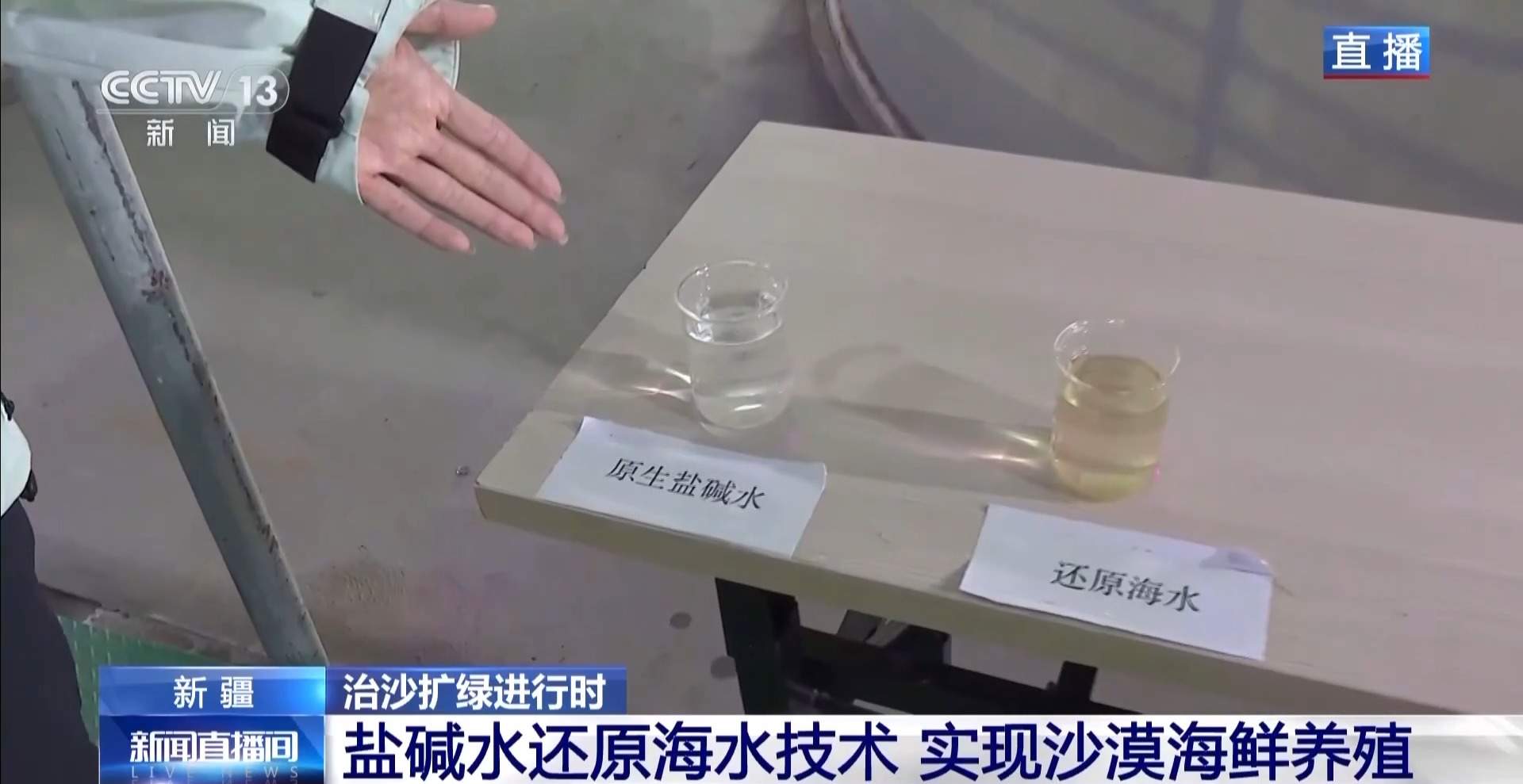 沙漠里如何养海鲜?解锁塔克拉玛干沙漠的水产养殖密码