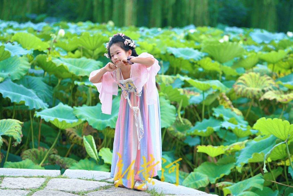 一年四季 泉在济南丨初秋明湖雨荷打卡 泉城美景入画来