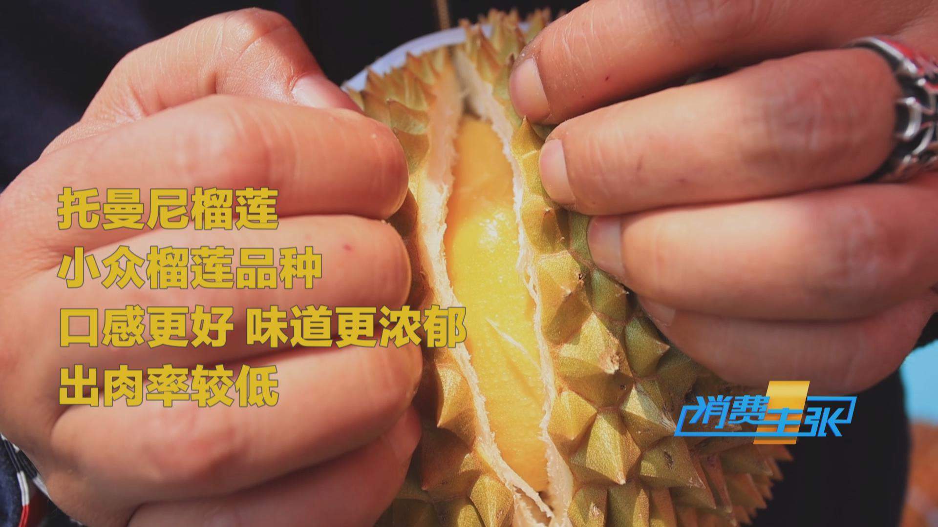 榴莲价格走低 首批国产“树上熟”榴莲也将上市!口感如何?