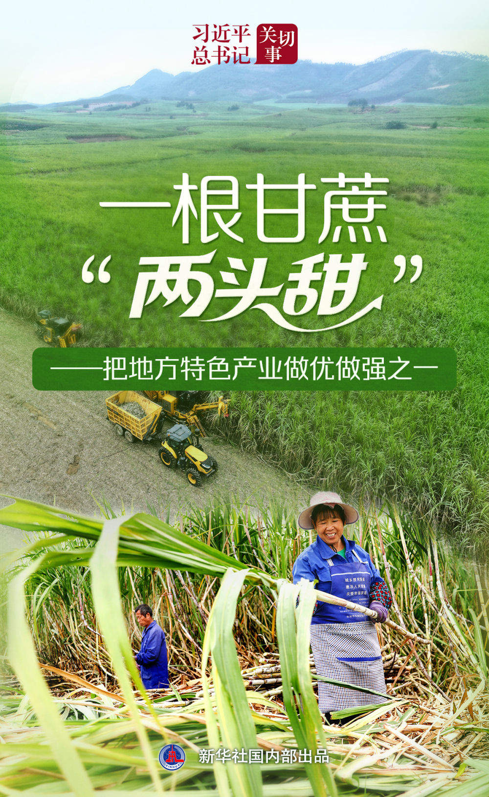习近平总书记关切事｜一根甘蔗“两头甜”——把地方特色产业做优做强之一