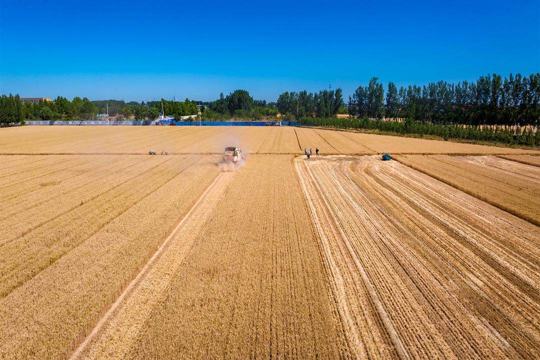 山东好景｜“丰”景里的开心笑容