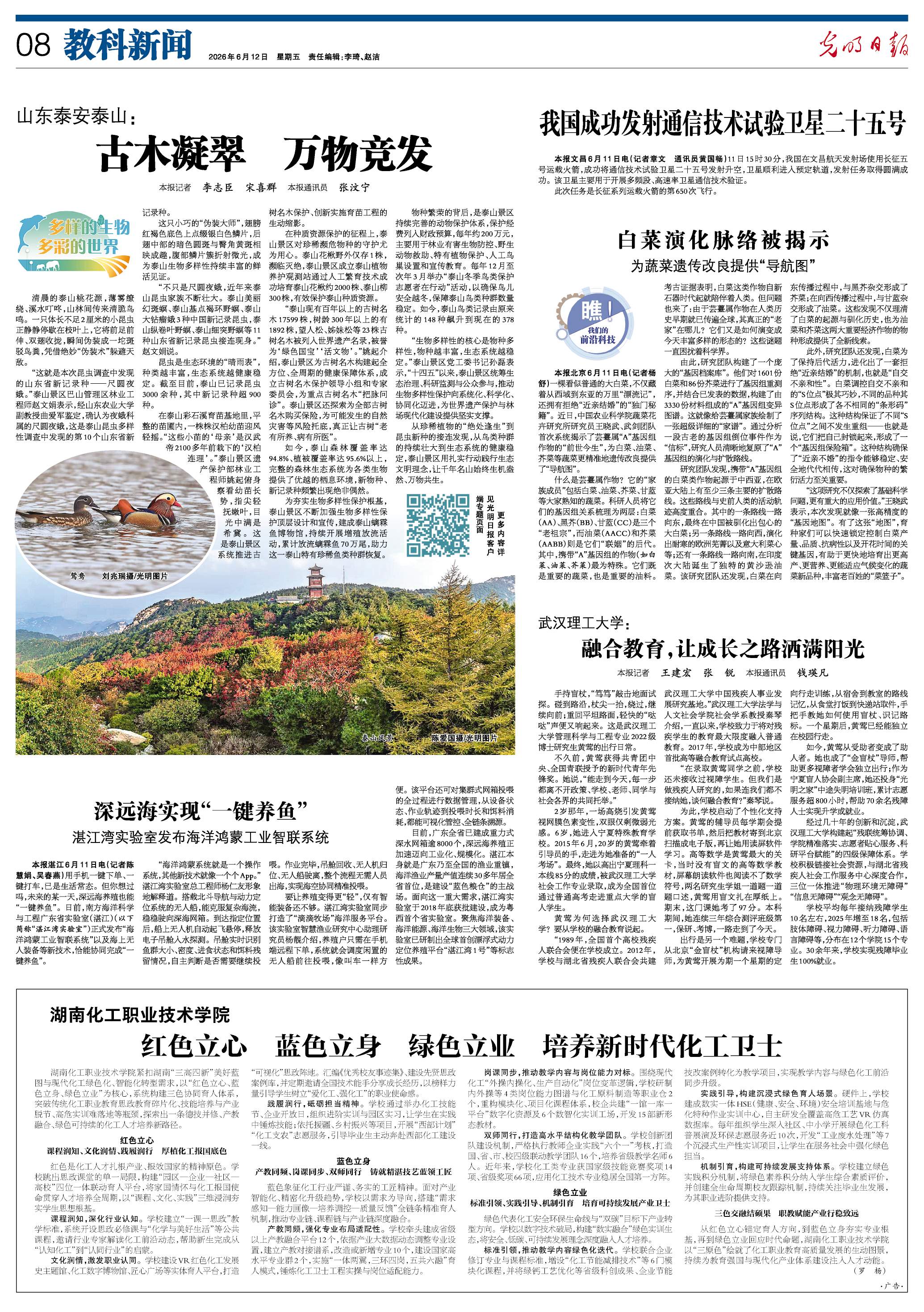 山东泰安泰山：古木凝翠 万物竞发