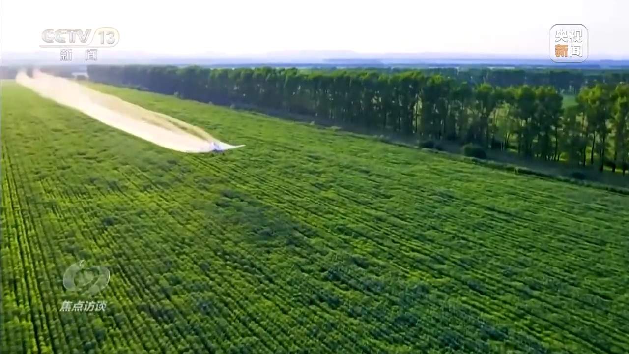 从抗旱到抢收 解读粮食增产背后的“密码”