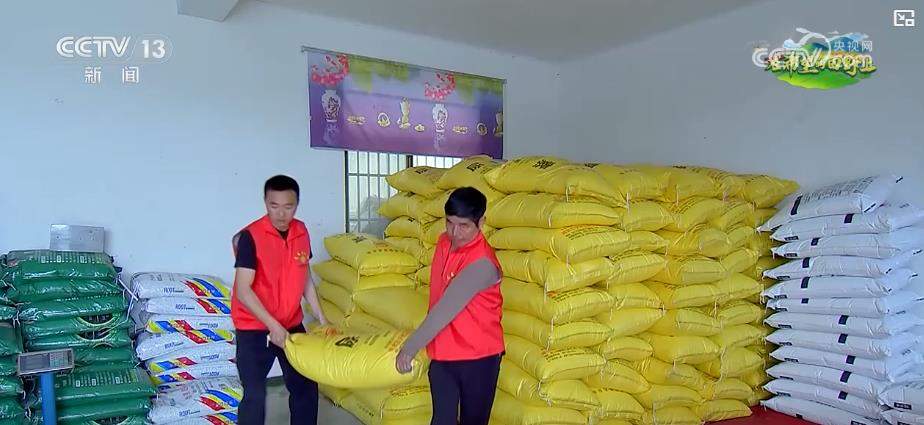春耕新图景:智能装备与科学调配助力农业生产