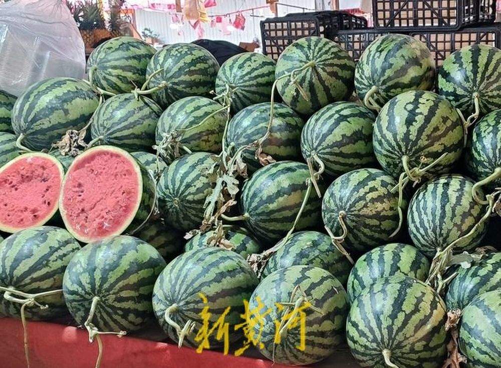 价格亲民“2元档”小型西瓜跃升济南夏日水果新顶流