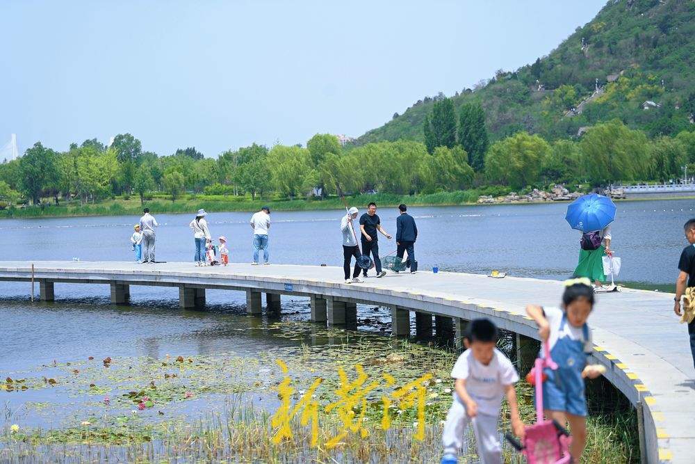一年四季 泉在济南｜华山湖畔亲子戏水乐享清凉