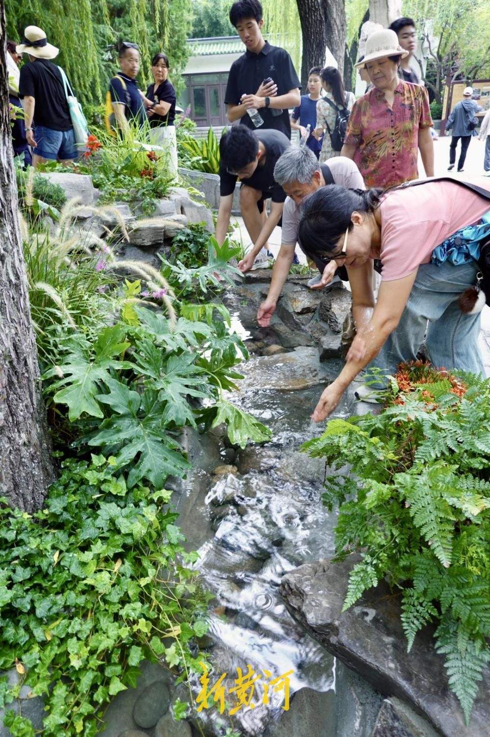 泉水景致焕新 解锁济南夏日泉水纳凉新体验