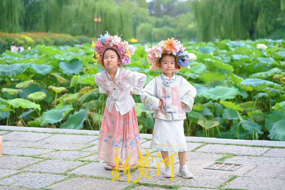 一年四季 泉在济南丨初秋明湖雨荷打卡 泉城美景入画来