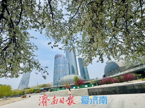 一树繁花映新城 腊河畔杜梨绽放绘春景