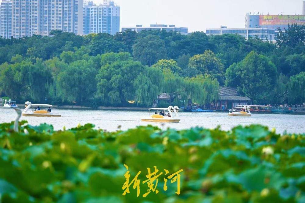 济南：大明湖落日荷塘游船同框，游客争相打卡