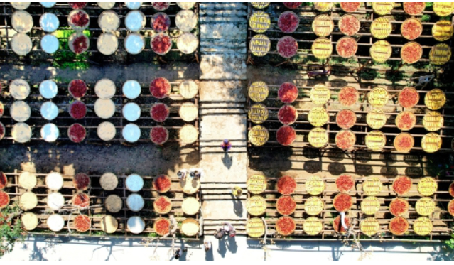 九顶塔赶秋节启幕 盛装鼓乐庆丰收