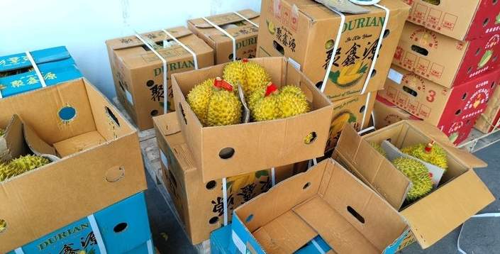 榴莲在济大量上市,部分品种价格跌破“2字头”