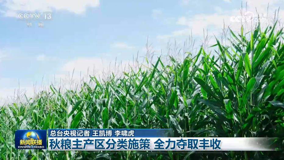 秋粮主产区分类施策 全力夺取丰收