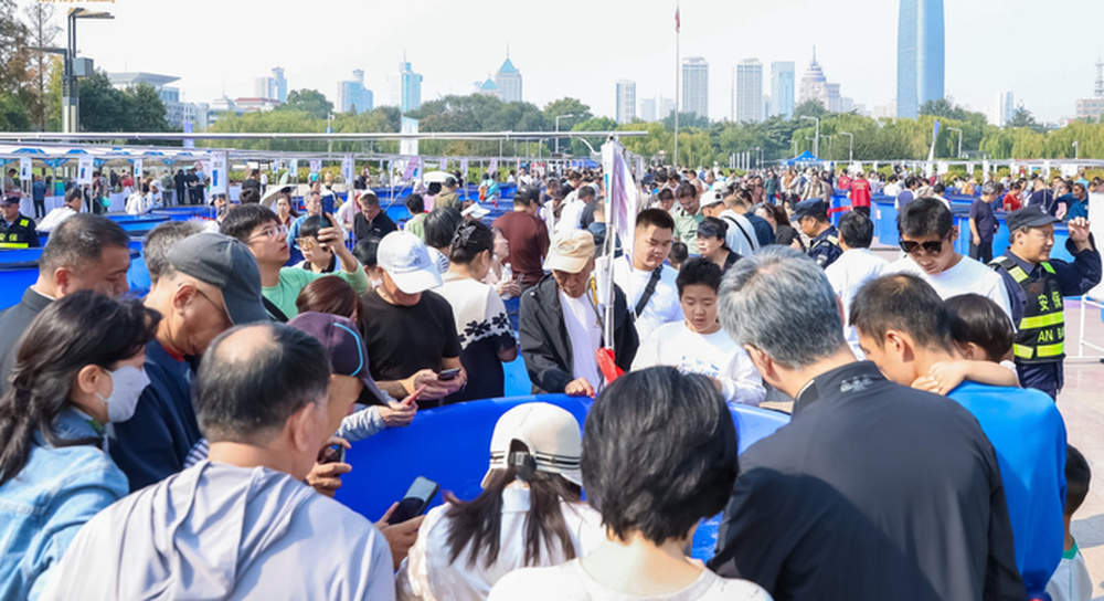 首届“好鲤山东”锦鲤大赛决赛在济举行,来自德州的家养锦鲤斩获全场总合冠军
