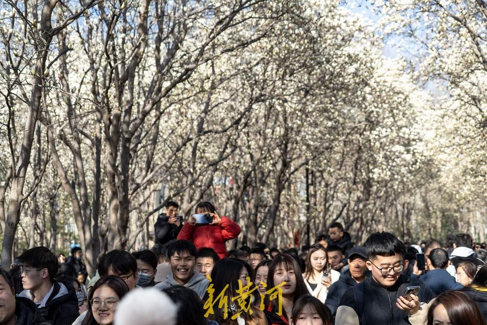 又见玉兰花开！济南百花公园赏花热 