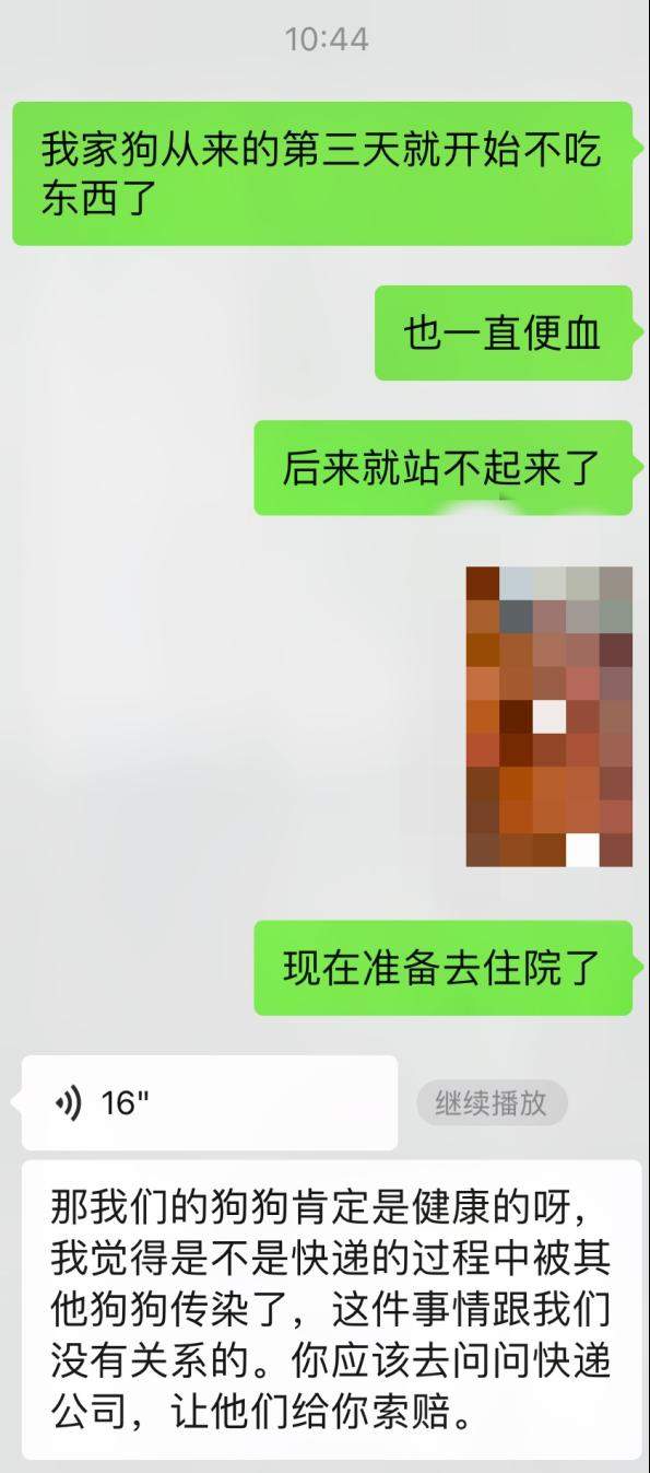 网上买宠物，注意这些“坑”