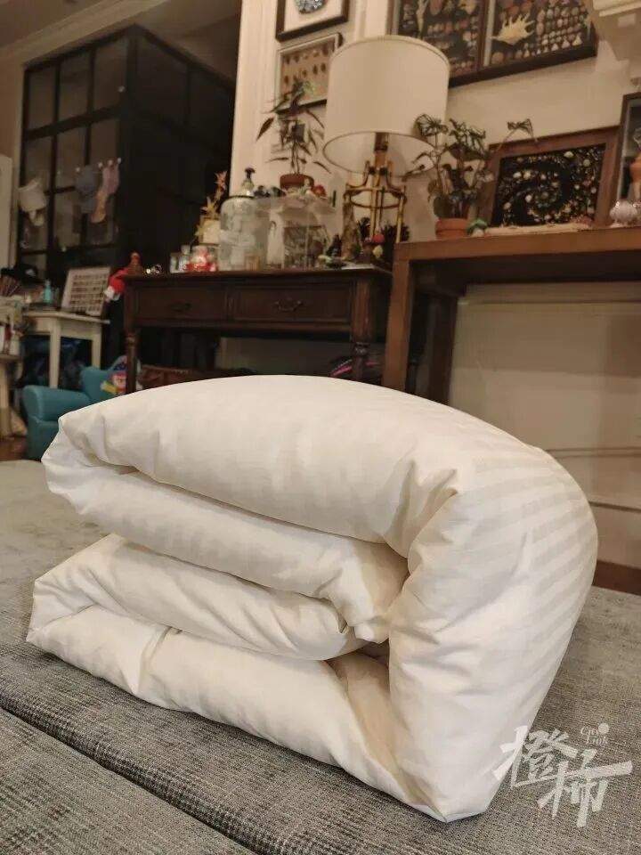儿子说想做蚕丝被，妈妈网购1万粒蚕卵，耗时64天手搓两床蚕丝被