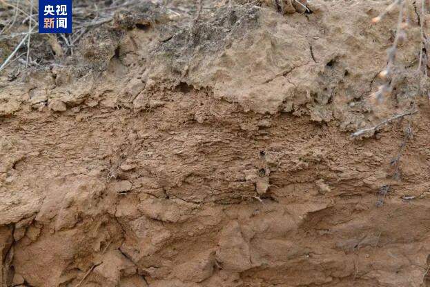 考古调查发现一段约13千米秦直道遗迹