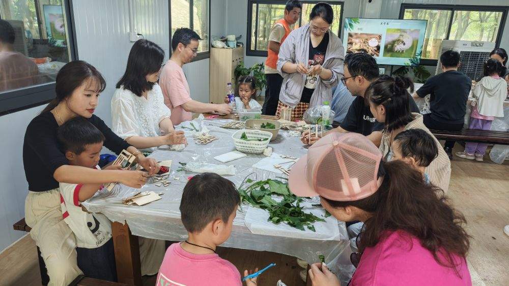 观鸟、农事、科创营 亲子体验“新”潮澎湃
