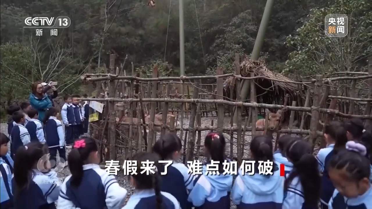 孩子放假大人上班 春假难点如何破?