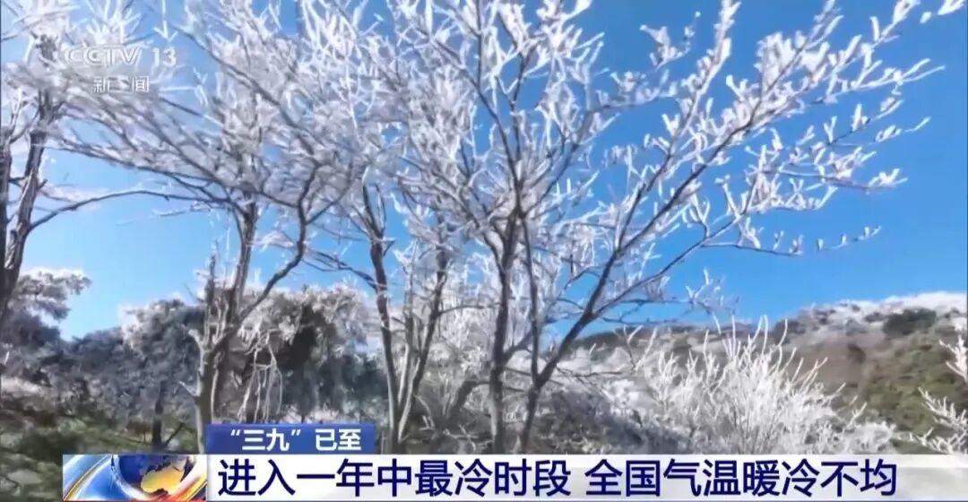 “三九”第一波冷空气来袭！山东半岛将迎小雪或雨夹雪