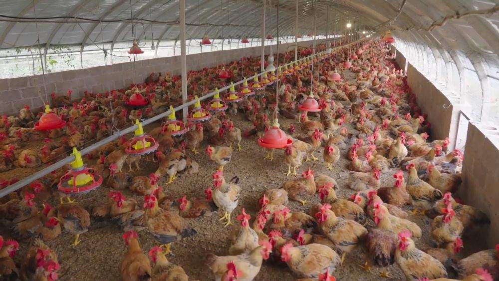 新华视点｜山河新貌：多地实践探索绿色发展