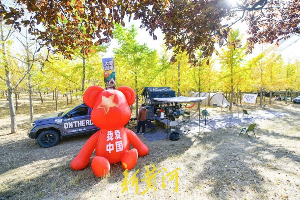 银杏林里飘出咖啡香，济南百里黄河风景区秋日消费新场景走红