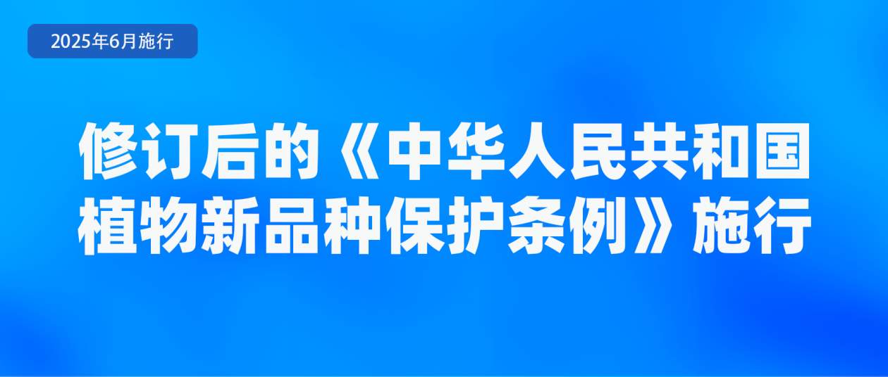 涉学前教育、人脸识别技术应用等 6月起这些新规将施行