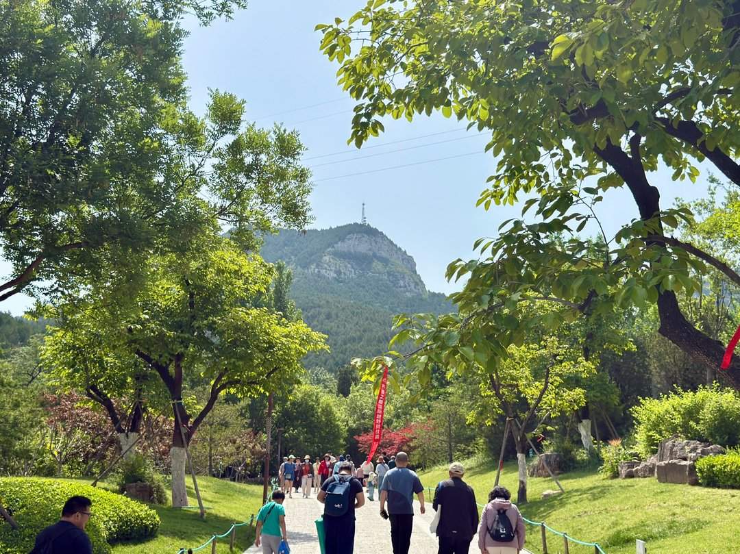 人头攒动，佛慧山公园成热门“打卡地”