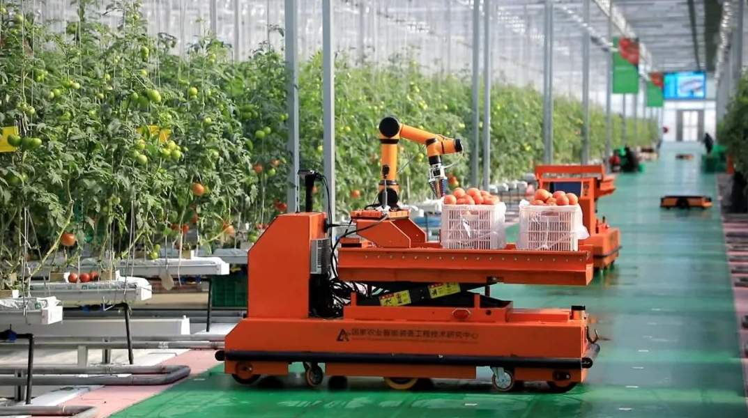 报告解读丨齐鲁乡村振兴新画卷怎么绘