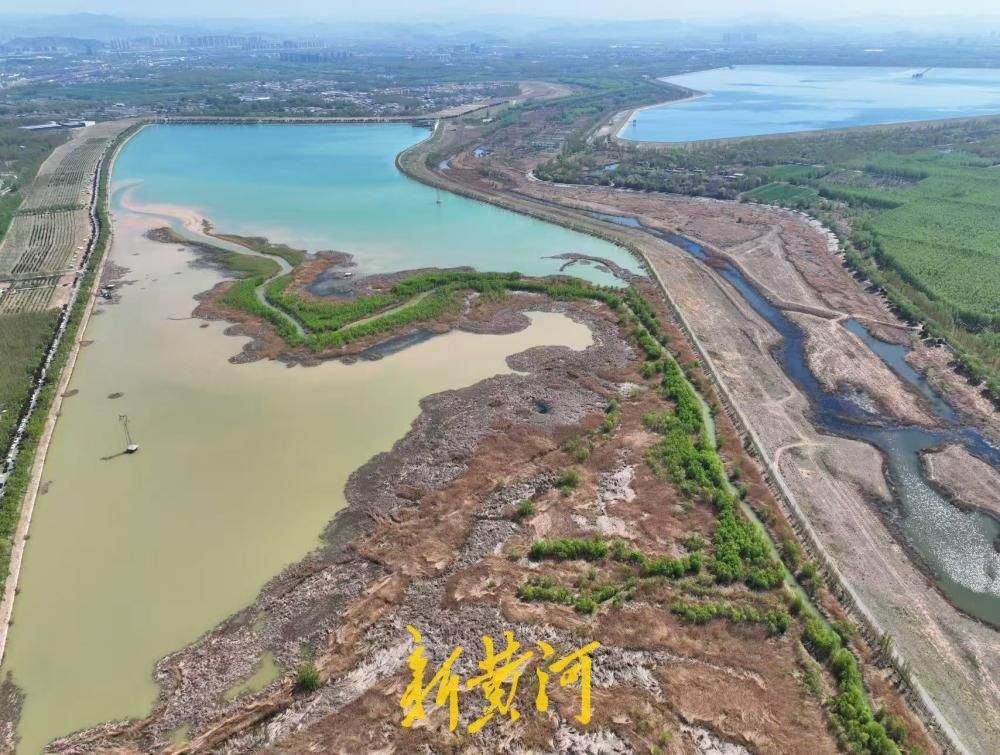 高空俯瞰济南黄河畔“生态调色盘” 玉清湖现黄、绿、蓝三色奇观