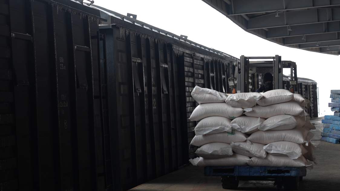 全力保障国家粮食安全，新疆铁路多点发运织密粮食运输“保障网”