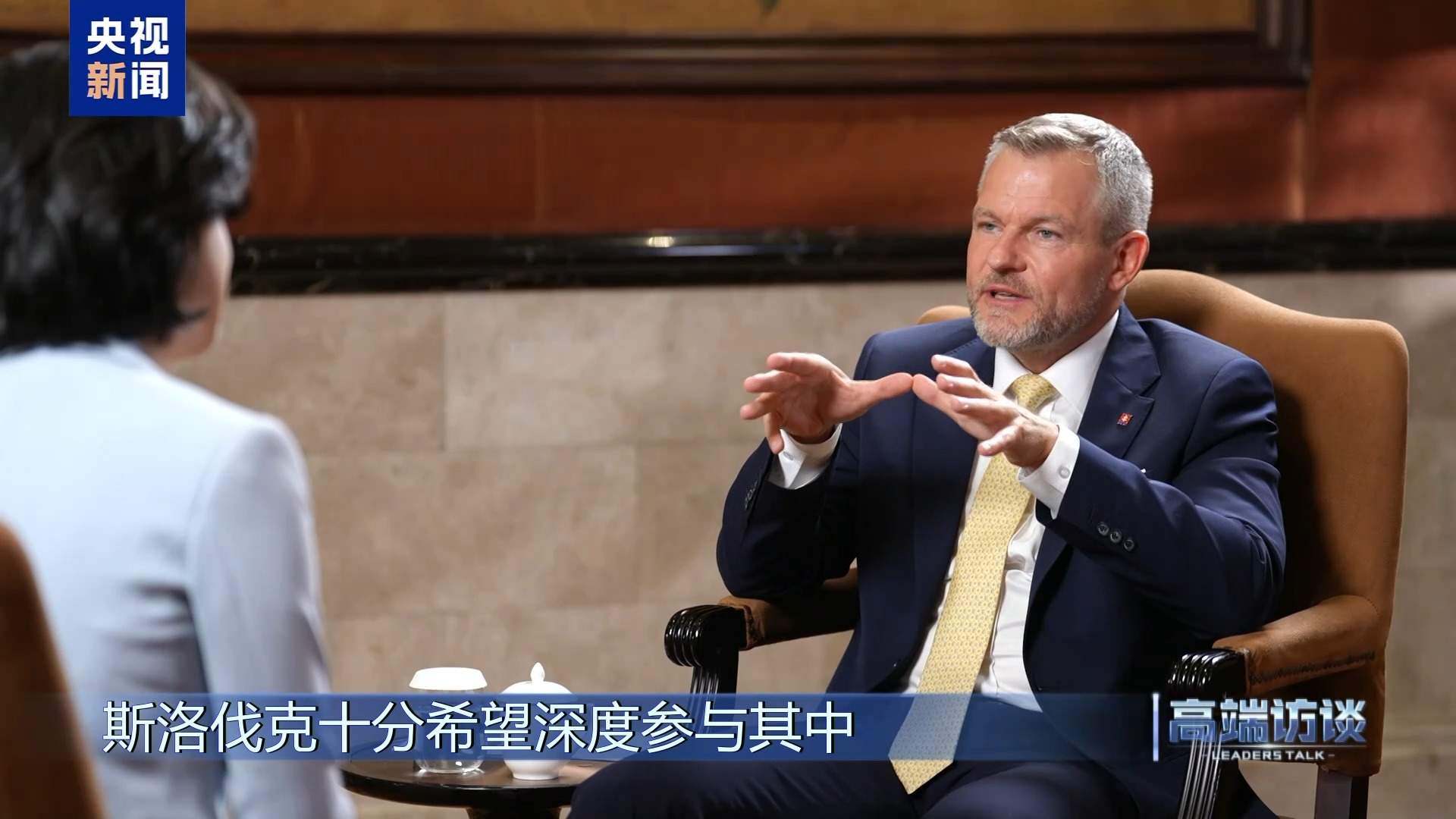 高端访谈丨专访斯洛伐克总统彼得·佩列格里尼