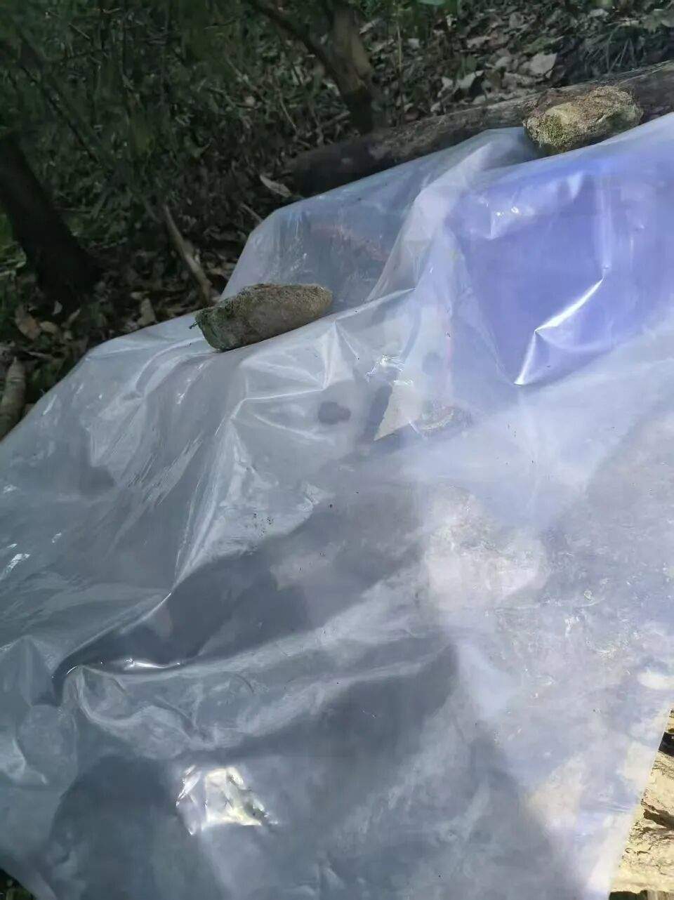 男子祭祖途中误触非法捕猎装置不幸身亡，重庆巫山警方通报：嫌疑人已被刑事拘留