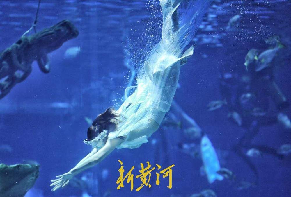 “六一”遇酷暑 济南融创海世界成亲子避暑地 人鱼表演人气爆棚