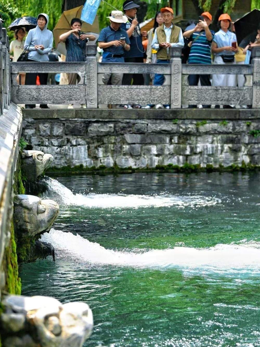 高温天气催热泉水游 济南护城河畔游人如织享清凉