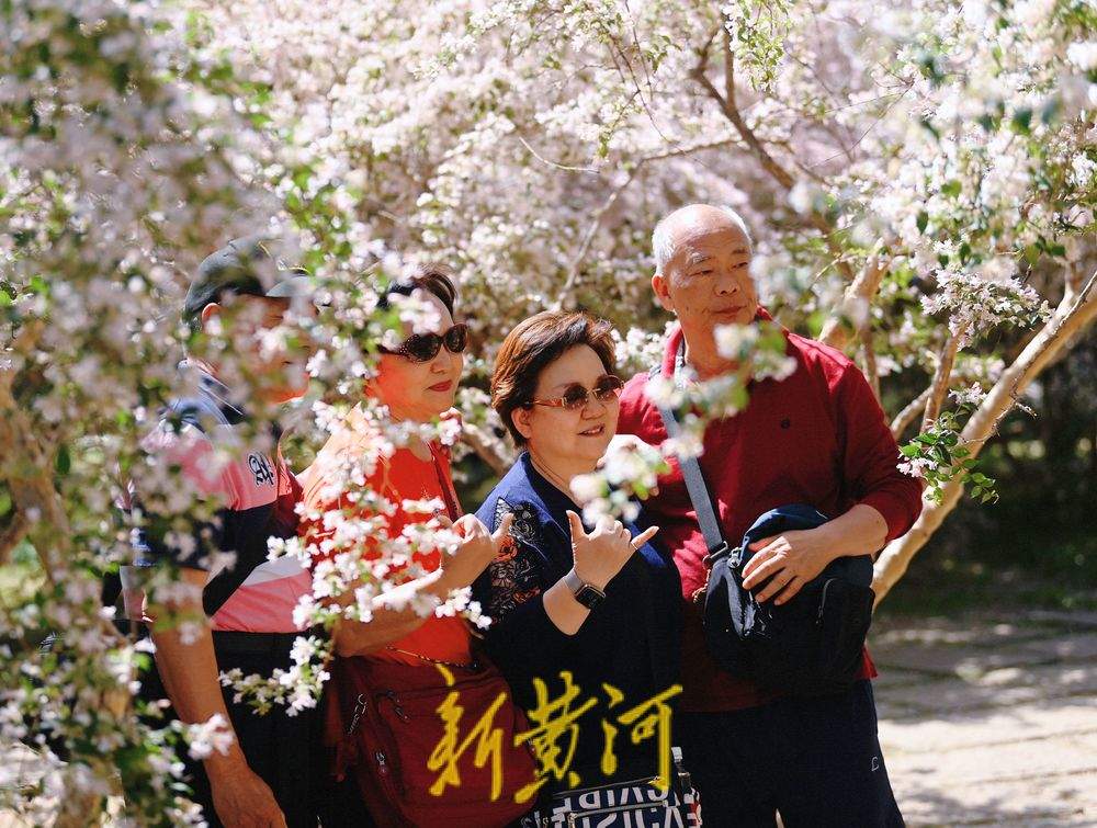 一年四季 泉在济南｜泉城猬实花开引客来