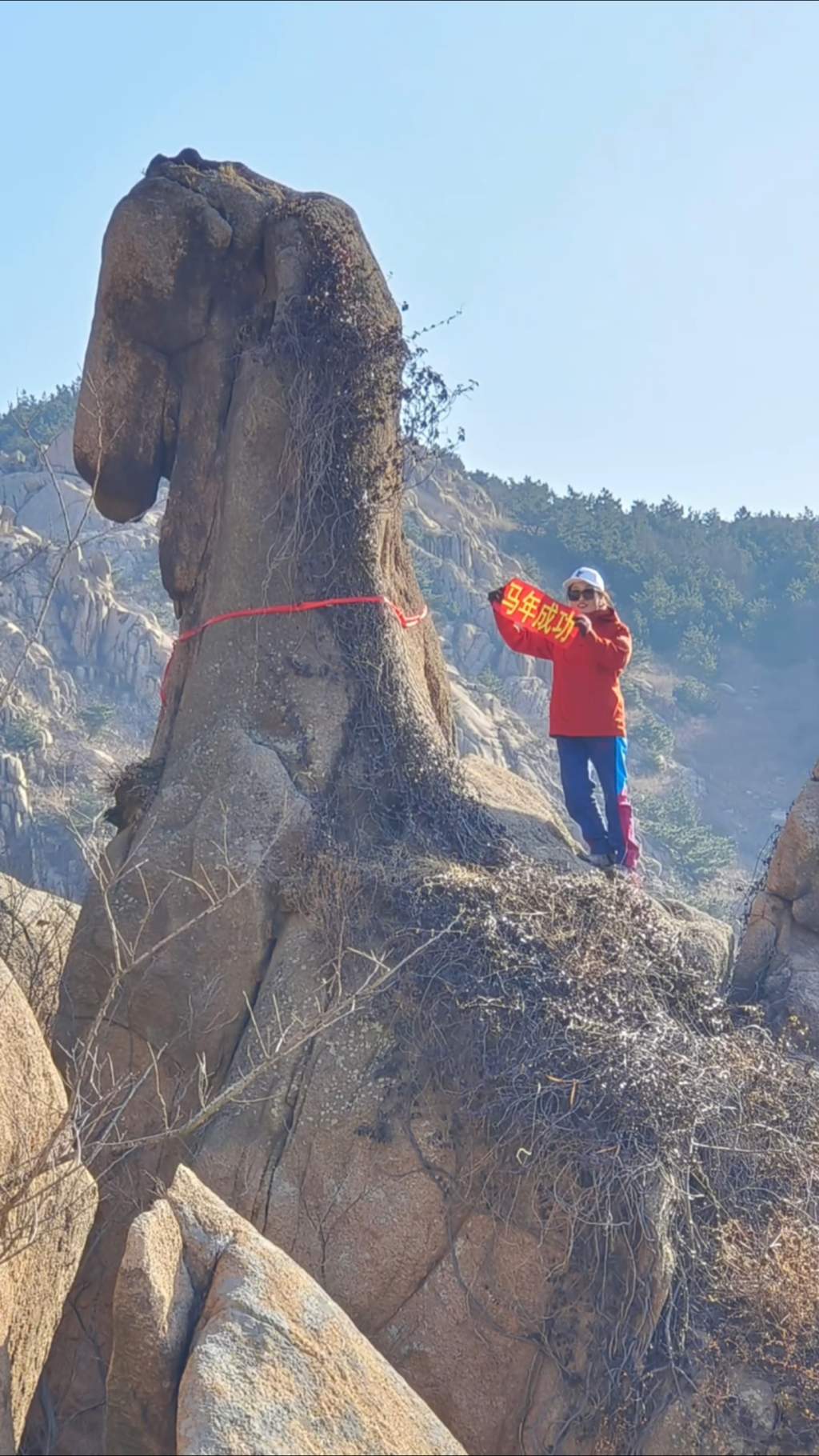 青岛大珠山“骏马奇石”借马年走红 游客打卡沾喜气