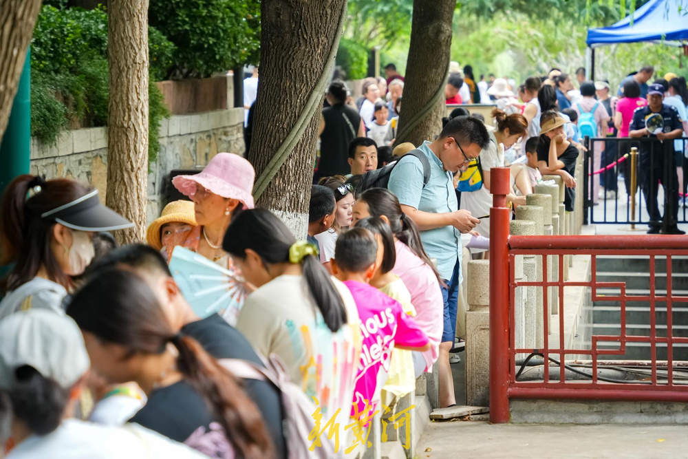 首批花船下水,一起“巡”觅泉城浪漫