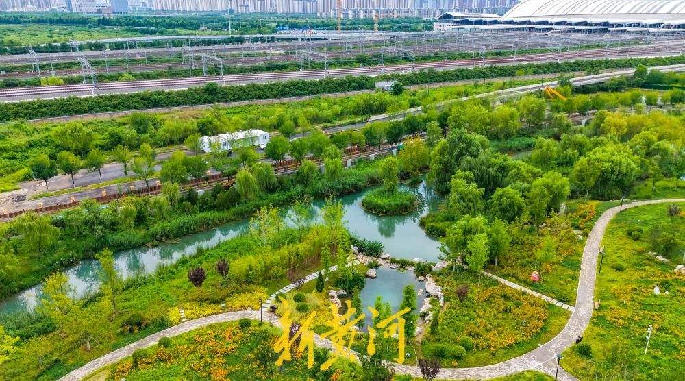 白泉公园绿意正浓碧水如镜，成为济南东部城区夏日休闲宝藏去处