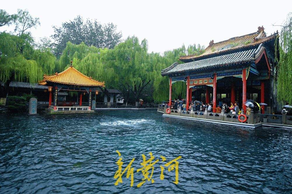 “撒欢儿”奔涌 济南趵突泉地下水位半个月上涨87厘米 