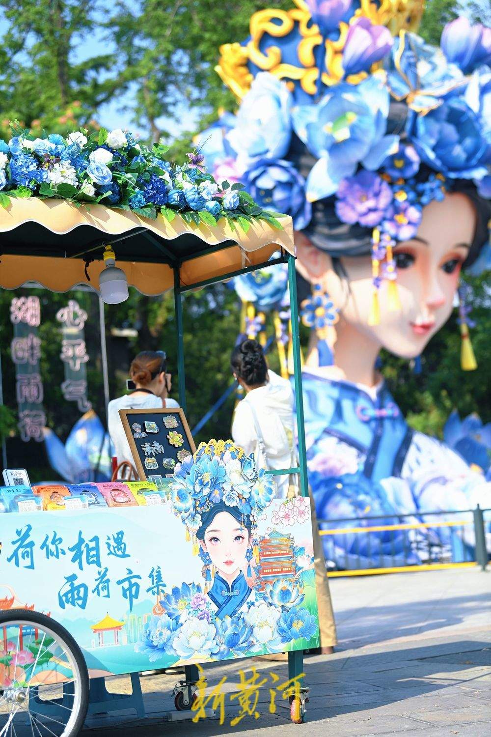 暑期落幕泉水游仍热，游客大明湖北岸品荷赏灯