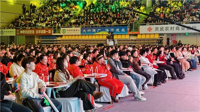 灯火映灵州 福马贺新春 —— 灵武市2026年春节联欢晚会圆满落幕