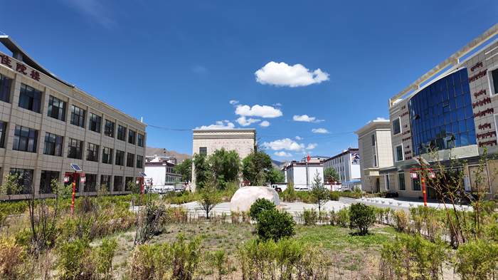 援派干部风采｜这群山东人在青藏高原建起 “生命之舟”