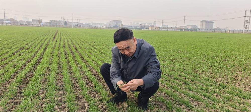 习近平总书记关切事·嘱托｜沃野兴农人的丰收密码