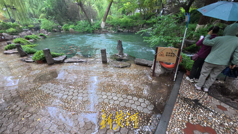 水位上涨泉水喷涌发力 溢出泉池涌入岸边路