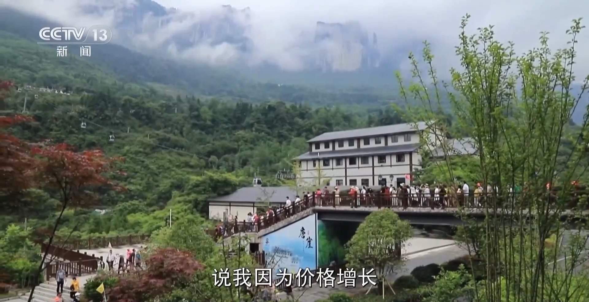 取消预约、发放消费券……暑期旅游这些“省心省钱”技巧了解一下！