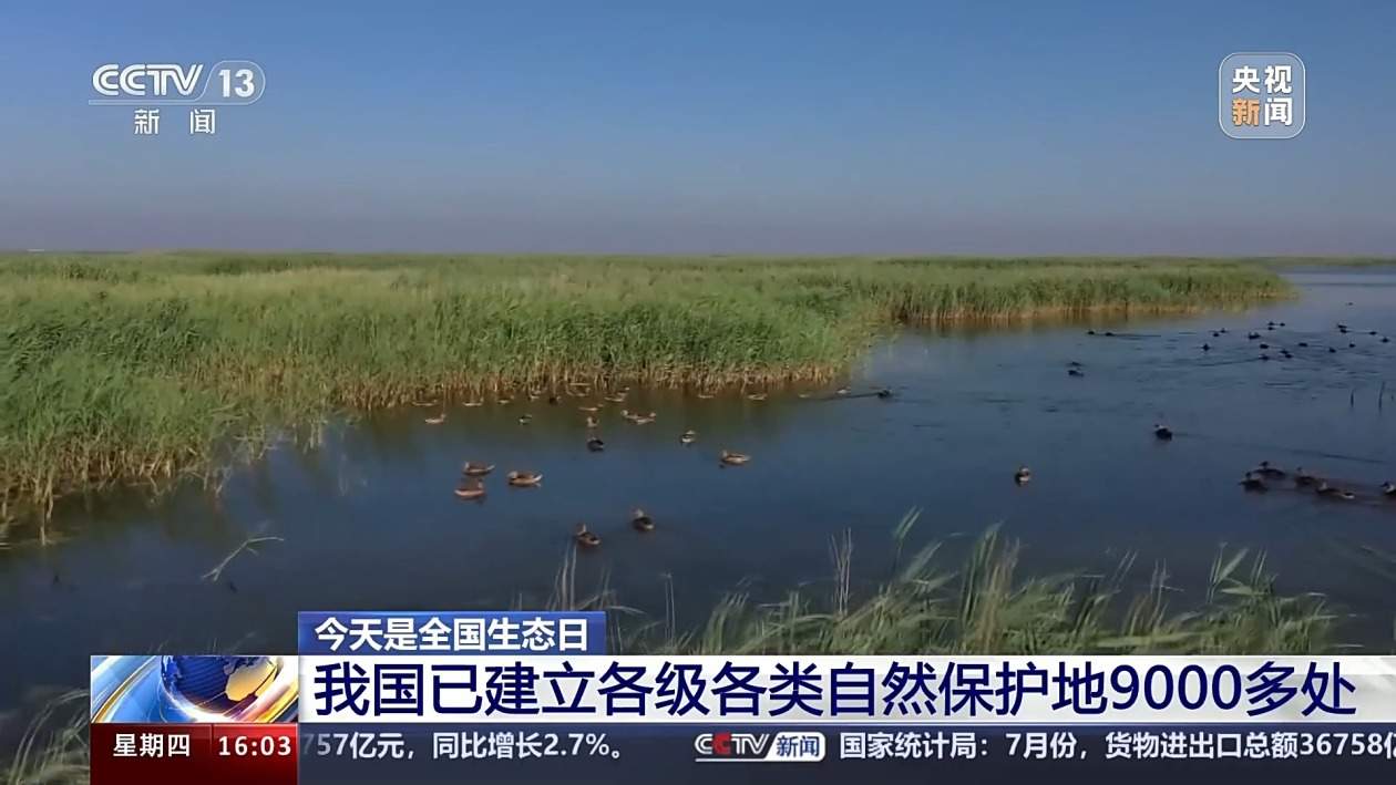 我国森林覆盖率超24%！还有这两项数据，居世界第一