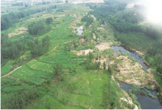 市自然资源和规划局“双轮驱动”赋能城市生态建设——以绿色开发筑基 以生态修复续脉